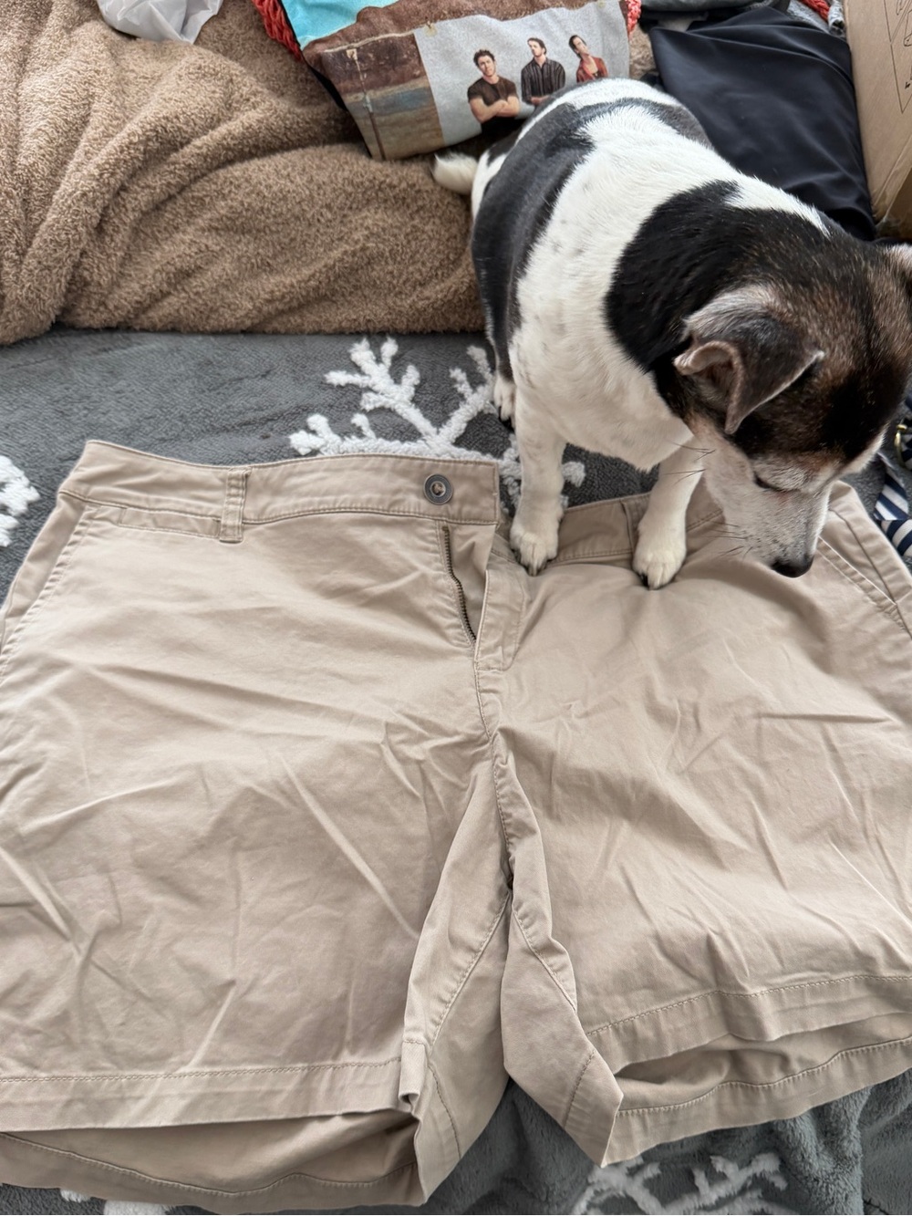Women’s Khaki Shorts